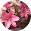 Kelly K. Avatar